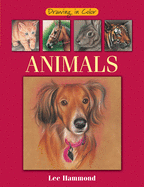Drawing in Color Animals