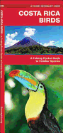 Costa Rica Birds: An Introduction to Familiar Species