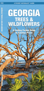 Georgia Trees & Wildflowers: An Introduction to Familiar Species