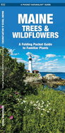 Maine Trees & Wildflowers: An Introduction to Familiar Species