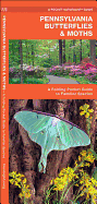 Pennsylvania Butterflies & Moths: An Introduction to Familiar Species