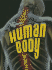 Human Body
