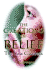 The Creations of Belief