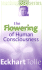 The Flowering of Human Consciousness