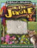 3-D Paint By Numbers: in the Jungle (3-D Paint By Numbers)