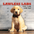 Lawless Labs: Good Labs Gone Bad