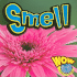 Smell