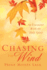 Chasing the Wind
