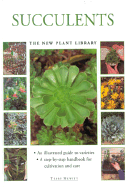 Succulents