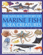 Marine Fish: An authoritative guide to the fascinating diversity of saltwater aquatic life Amy-Jane Beer and Derek Hall