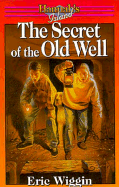 The Secret of the Old Well