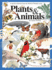 Plants & Animals: A Special Collection