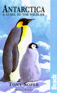 Antarctica: A Guide to the Wildlife