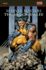 The Art of Jim Lee