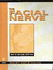 Facial Nerve