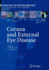 Cornea and External Eye Disease