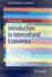 Introduction to Intercultural Economics