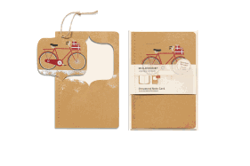 Moleskine Ornament Note Cards Snowy Bicycle Large (Moleskine Messages)