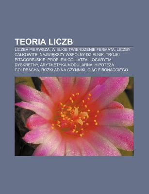 Teoria Liczb Liczba Pierwsza Wielkie Twierdzenie Fermata Liczby CA