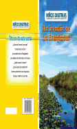 La Invasin de Los Everglades!: Definir El Problema (Everglades Invasion!: Defining the Problem)