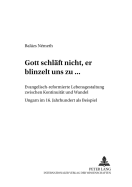 Gott Schlaeft Nicht, Er Blinzelt Uns Zu...: Evangelisch-Reformierte Lebensgestaltung Zwischen Kontinuitaet Und Wandel - Ungarn Im 16. Jahrhundert ALS Beispiel