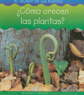cmo Crecen Las Plantas?