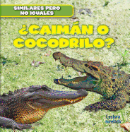 Caimn O Cocodrilo? (Alligator or Crocodile?)