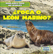 Foca O Len Marino? (Seal or Sea Lion?)