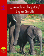 grande O Chiquito?/Big or Small?