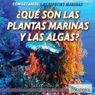 Qu Son Las Plantas Marinas Y Las Algas? (What Are Sea Plants and Algae?)