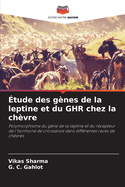 tude des gnes de la leptine et du GHR chez la chvre