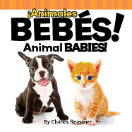 animales Beb?s!: Animal Babies!
