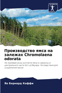 &#1055;&#1088;&#1086;&#1080;&#1079;&#1074;&#1086;&#1076;&#1089;&#1090;&#1074;&#1086; &#1103;&#1084;&#1089;&#1072; &#1085;&#1072; &#1079;&#1072;&#1083;&#1077;&#1078;&#1072;&#1093; Chromolaena odorata