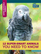 12 Super-Smart Animals You Need to Know