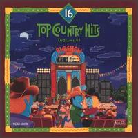 16 Top Country Hits, Vol. 4 - Various Artists