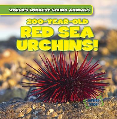 200-Year-Old Red Sea Urchins! - Evans, Topper