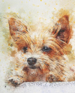 2019-2020 Academic Planner Weekly and Monthly Faithful Dog