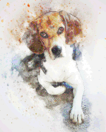 2019-2020 Academic Planner Weekly and Monthly Pleasant Dog