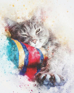 2019-2020 Academic Planner Weekly and Monthly Sleepy Cat