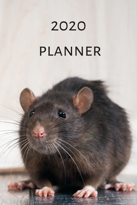 2020 Planner (6x9inch): Rat 2020 Planner; I love Rats Planner; Cute Rat 2020 Planner; Rat Lovers Book; I Love Rats; 6x9inch with weekly view - Design Publishers, Raw