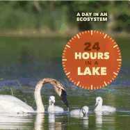 24 Hours in a Lake