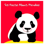 25 Facts About Pandas: Explore the World of Adorable Giant Pandas!