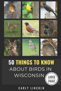 50 Things to Know About Birds in Wisconsin Large Print: Birding in the Badger State