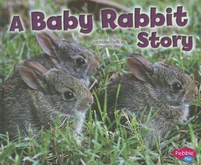 A Baby Rabbit Story - Wittrock, Jeni