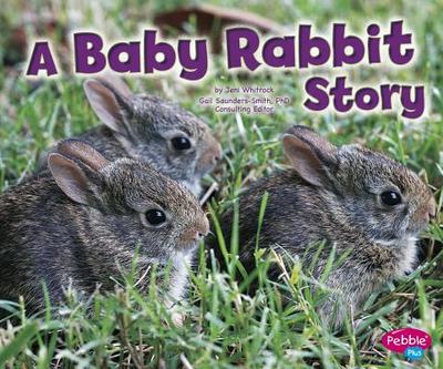 A Baby Rabbit Story - Wittrock, Jeni