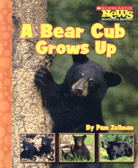 A Bear Cub Grows Up