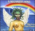 A Beginner's Mind