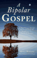 A Bipolar Gospel: A New Voyage Through the Gospel from the Perspective of a Bipolar II Survivor