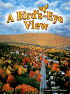 A Bird's-Eye View