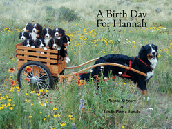 A Birth Day for Hannah